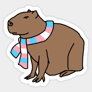 Capybara and Transgender Pride Flag Scarf Sticker